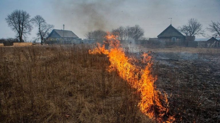 Более 24 гектаров сухой растительности выгорело на Камчатке за пять дней